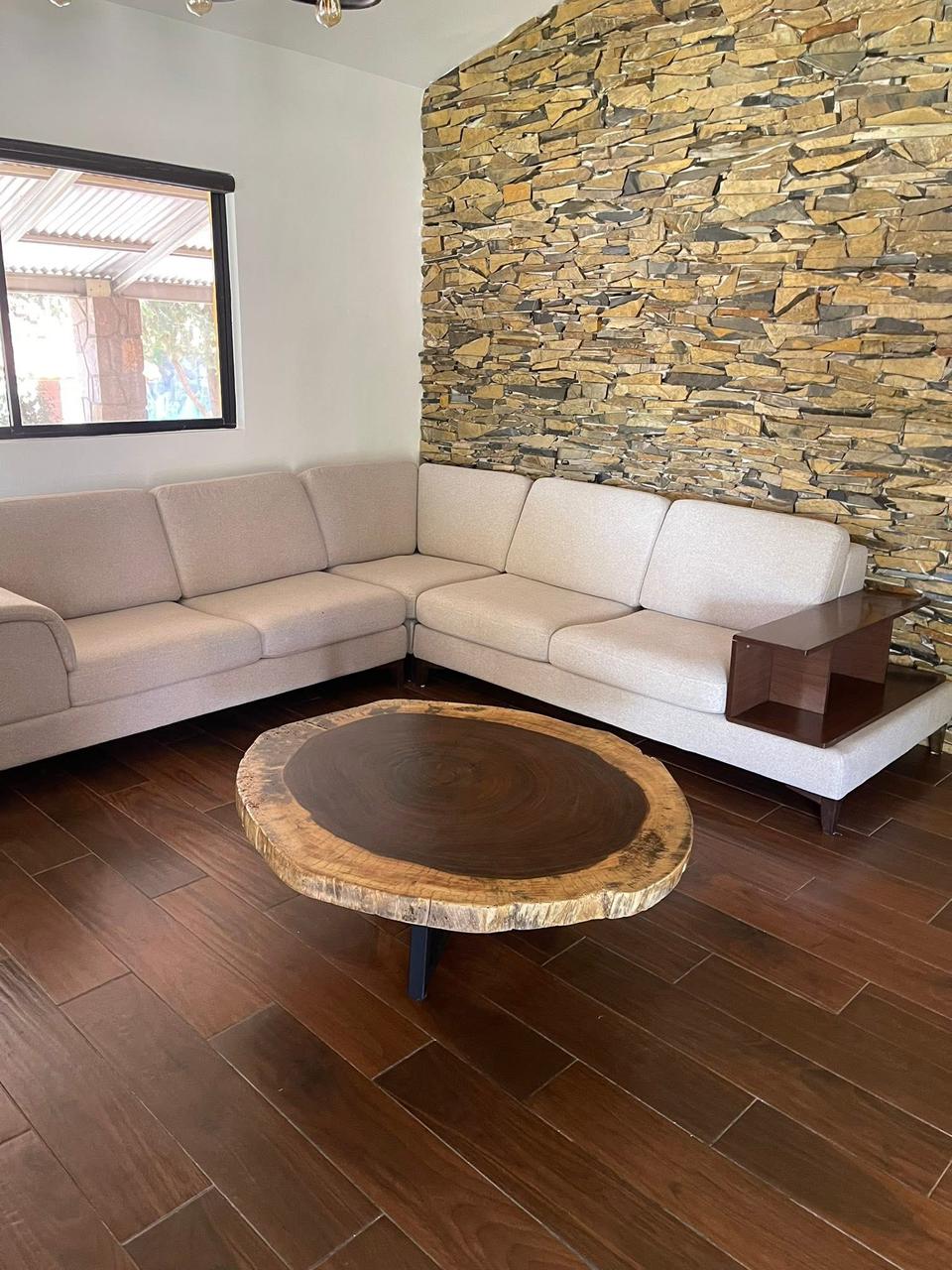 Mesa de Centro - Forma Organica